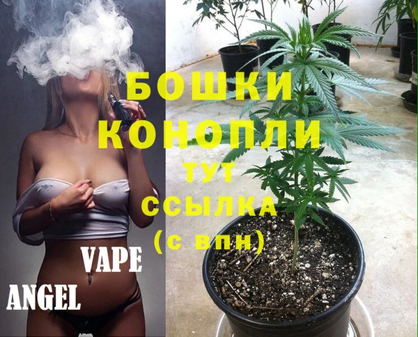 первитин Коряжма