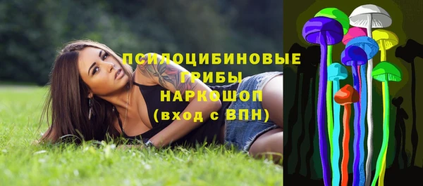 сатива Красноперекопск