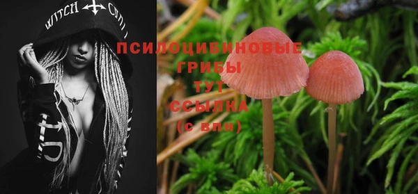 дживик Краснотурьинск
